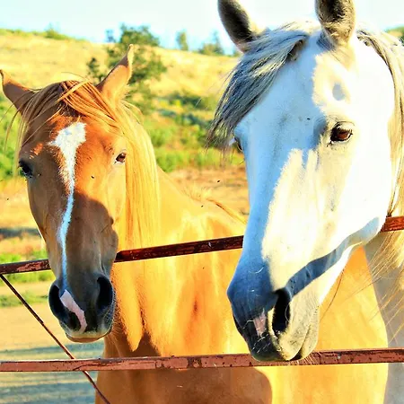 Affittacamere Casa Do Adro De Parada