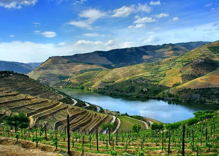 Casa Do Adro De Parada Parada de Pinhão