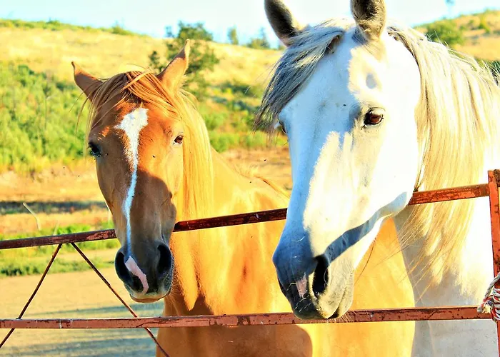 Gæstehus Casa Do Adro De Parada